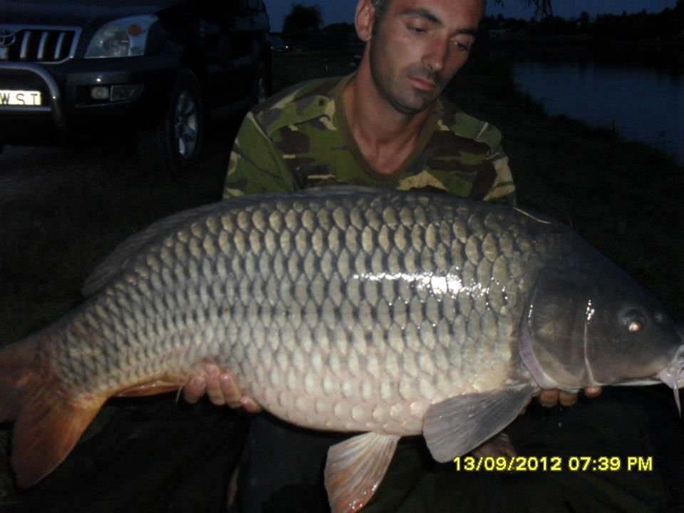 CONCURS LIKE-URI  - VOT PE FACEBOOK  - Birca Nicu